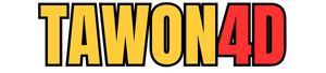 TAWON4D